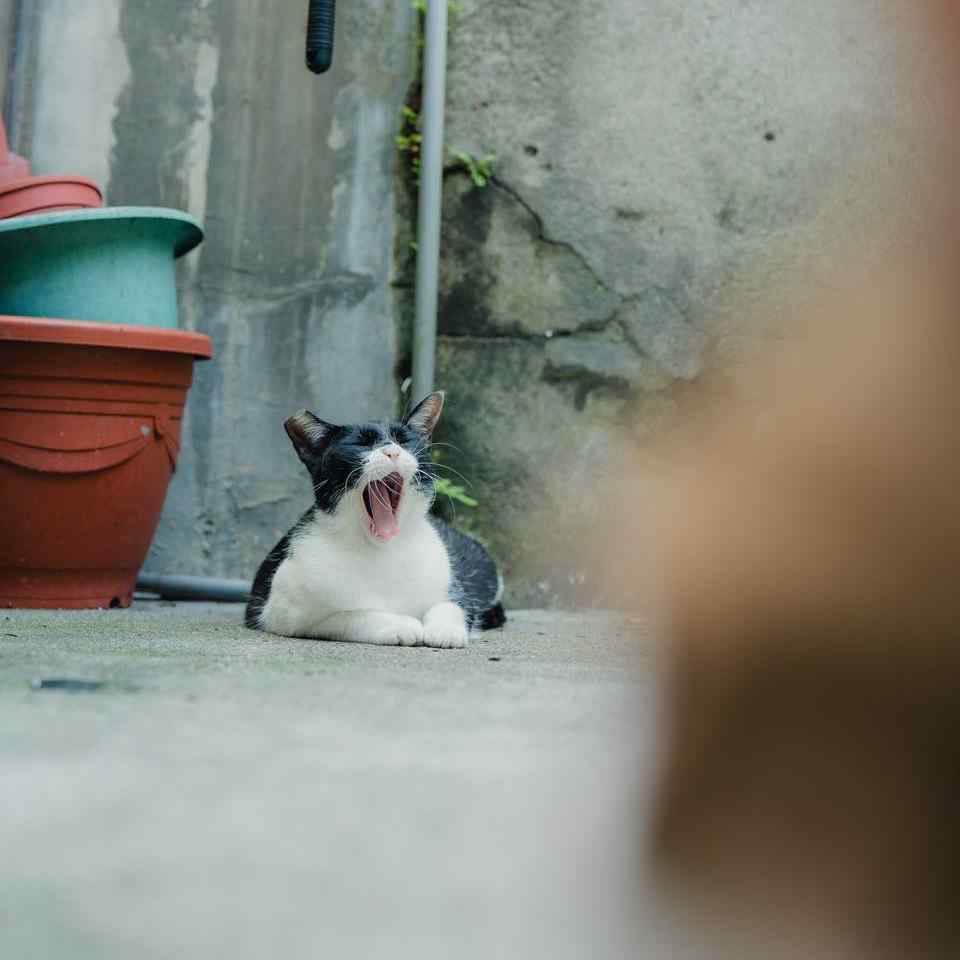 還有更好吃的？！