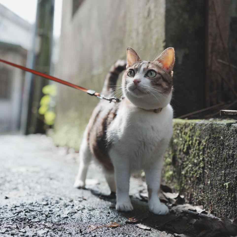 拍屁屁就跟按摩一樣舒服喔～•弟弟