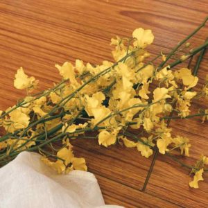 第七道光奧秘學校的教師階課程學習心得