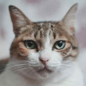 爸爸～妹仔是誰呀？！