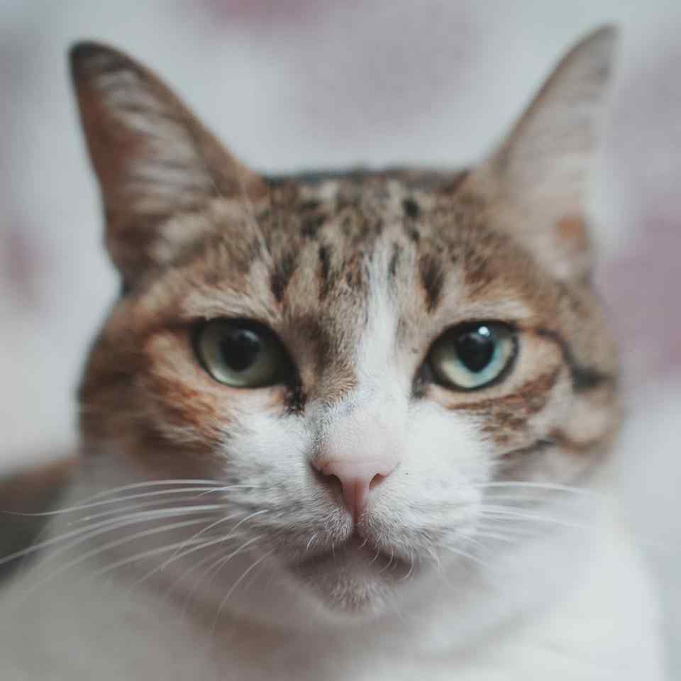 爸爸~妹仔是誰呀?!