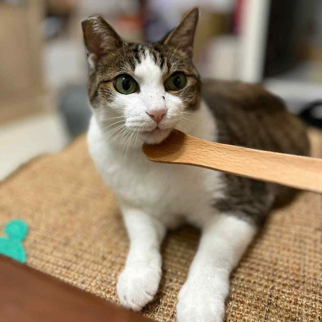 有啊～那個滿舒服的我很喜歡•咪呀