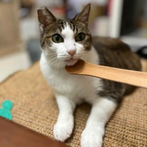 有啊～那個滿舒服的我很喜歡•咪呀