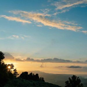 從什麼時侯開始我們變複雜了？！