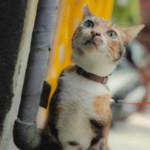 我喜歡那個口感～•瓜瓜