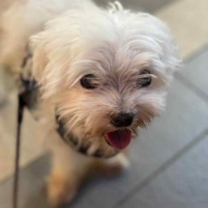 不用確認了～就是我啦！•Gucci