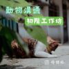 初階動物溝通工作坊-台北場 2026 Nov 假日班