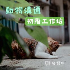 初階動物溝通工作坊-台北場 2026 Nov 假日班